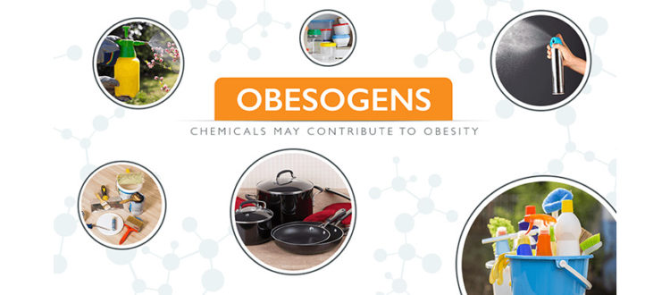 DEFINING OBESOGENS: THE CHEMICALS IMPACT & PRESENCE IN THE HOUSEHOLD