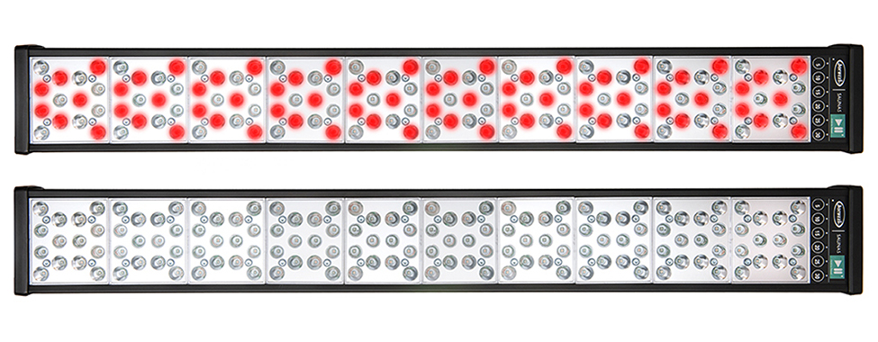 Clearlight-Red-Light-Therapy-Combines-Red-Light-and-Near-Infrared