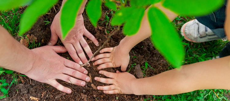HOW TO GO GREEN: 15-PLUS ECO-FRIENDLY ACTIVITIES