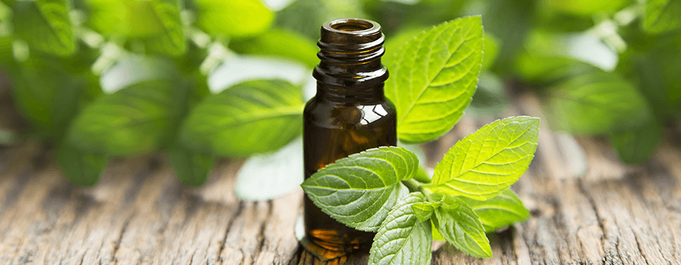 Peppermint-Essential-Oil-for-Sauna-Aromatherapy