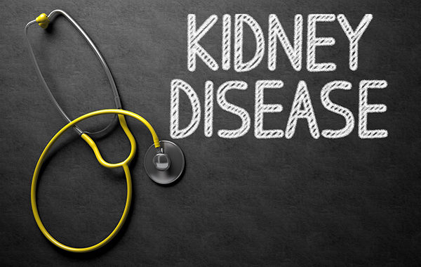 kidney-disease-600x380